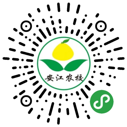 美国薄壳山核桃苗（三年苗）
