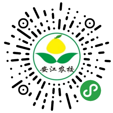 美国薄壳山核桃（三年苗）