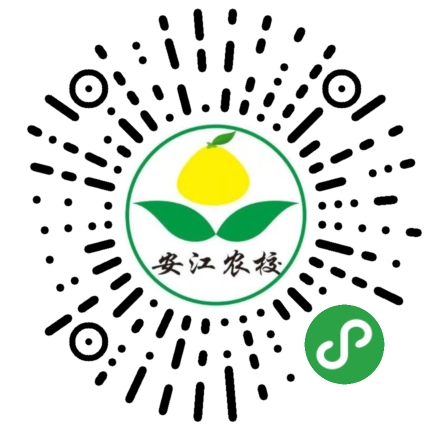 栾树苗（摇钱树）