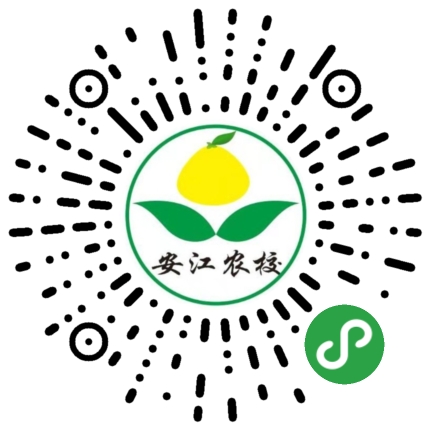 日本甜柿-前川次郎