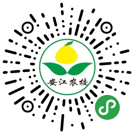 纽荷尔脐橙